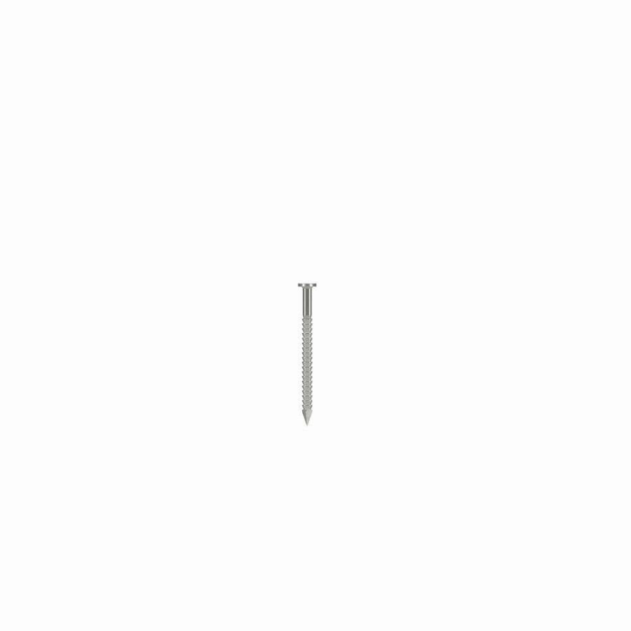 Fasteners * | Simpson Strong-Tie 3D X 1-1/4 In. Annular-Ring Shank Type 316 Stainless Steel Wood Siding Nail (75-Pack)